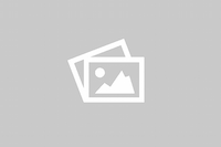 Winter, Birds, Snuggle Weather Unisex t-shirt